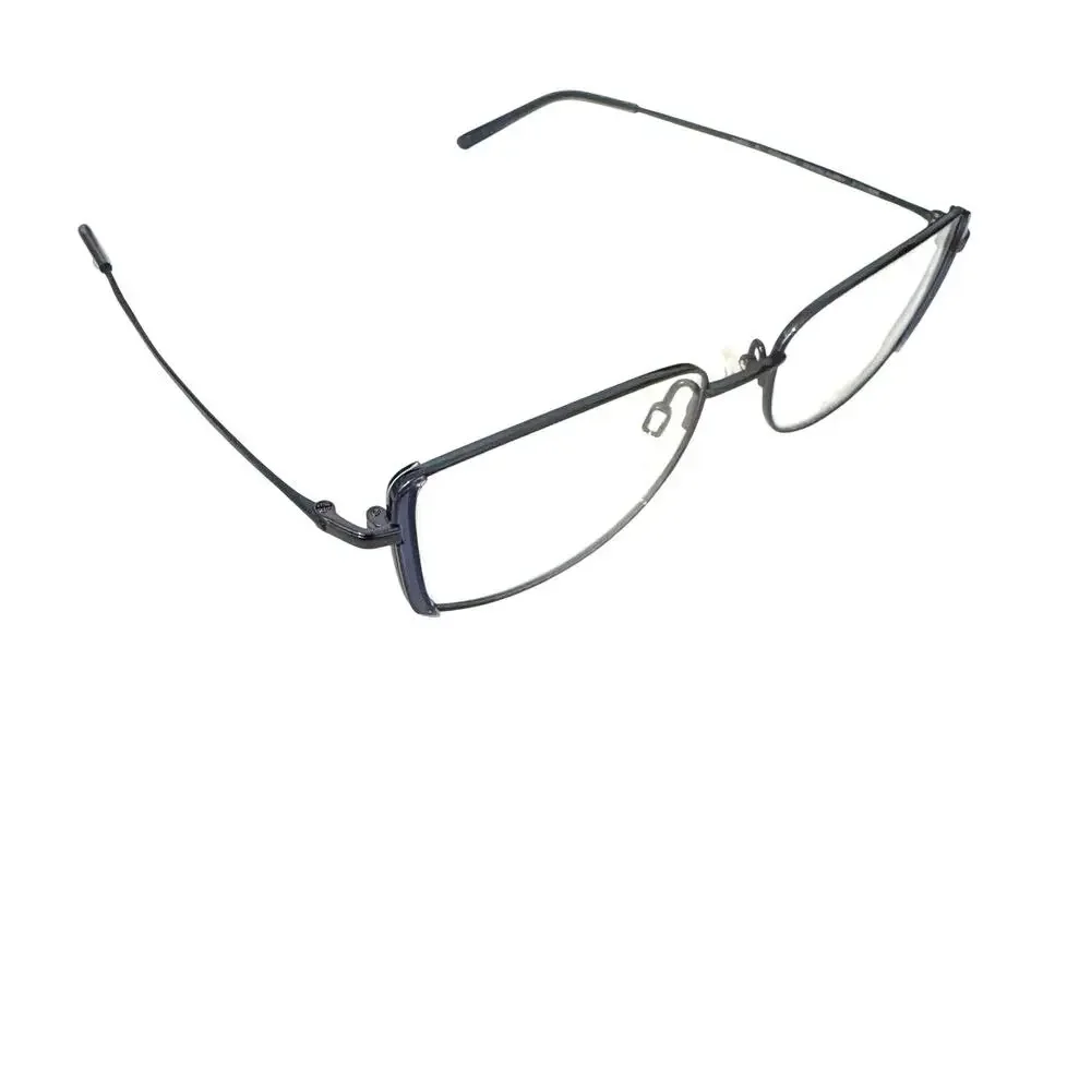 NEW CHARMANT Titanium Perfection CT 29219 glasses